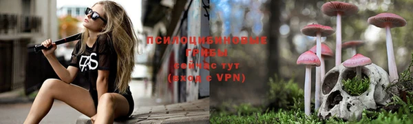 индика Балабаново