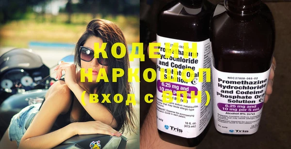 индика Балабаново