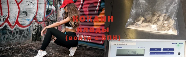 индика Балабаново